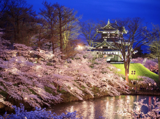 Castles in the Bloom